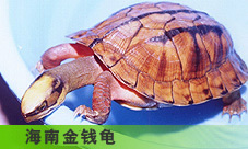  ϽǮ